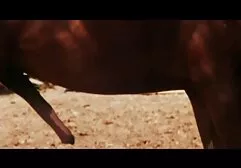 Alicia cho sec hang dep Emily mát xa âm đạo