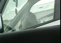 Brunette vuốt ve âm đạo trên phim sec dep các bãi biển